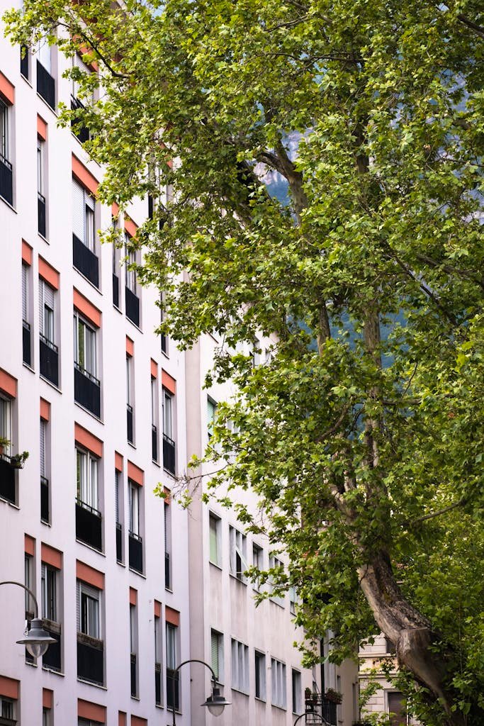 Beautiful Italian city scene featuring modern architecture with lush green trees, capturing urban tranquility.